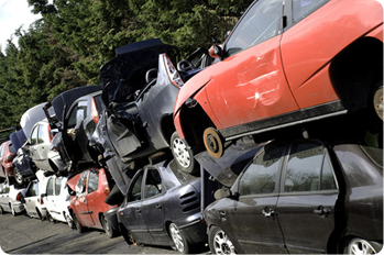 Automotive Look After Professionals